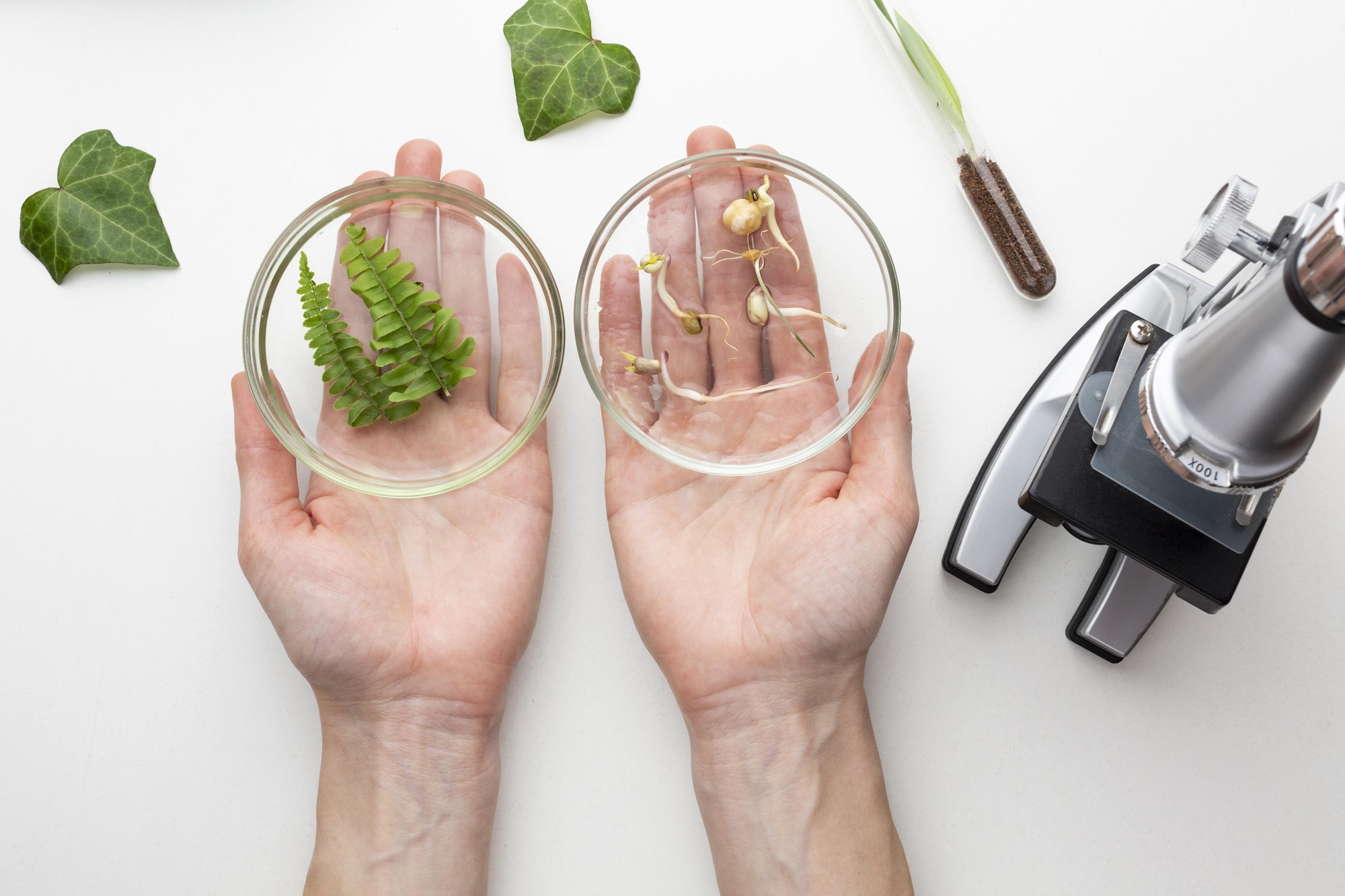 07  NAUKI PRZYRODNICZE I STOSOWANE